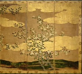 Blumen der Kamelien